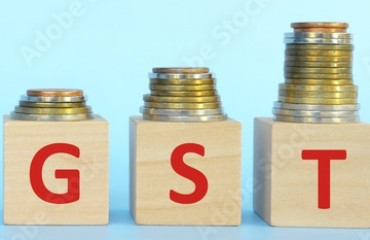 Mint Explainer | How India's FMCG companies navigated sales after structural GST changes