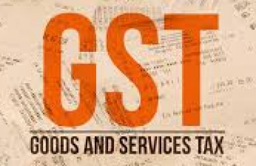 Tata Motors says no to softer emission rules for small cars, flags safety risks